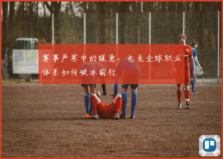 赛事严寒中的暖意,电竞全球职业体系如何破冰前行